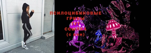 мяу мяу мука Беломорск