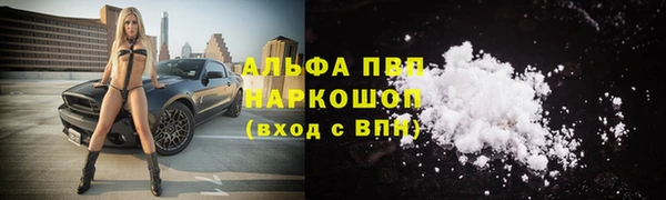 ПСИЛОЦИБИНОВЫЕ ГРИБЫ Белоозёрский