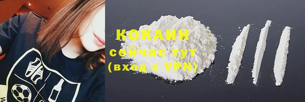 мяу мяу мука Беломорск