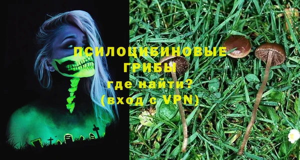 мяу мяу мука Беломорск