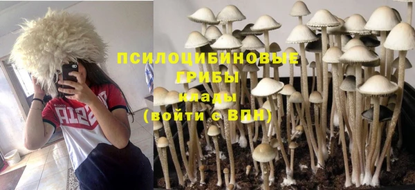 прущая мука Саяногорск