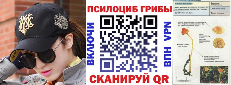 Псилоцибиновые грибы мицелий  OMG ТОР  Александровское 